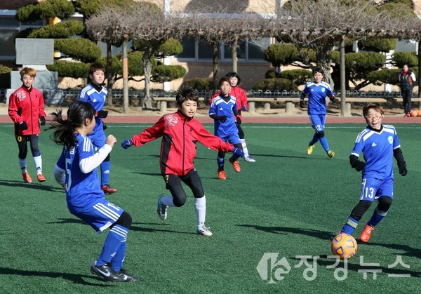 축구전지훈련