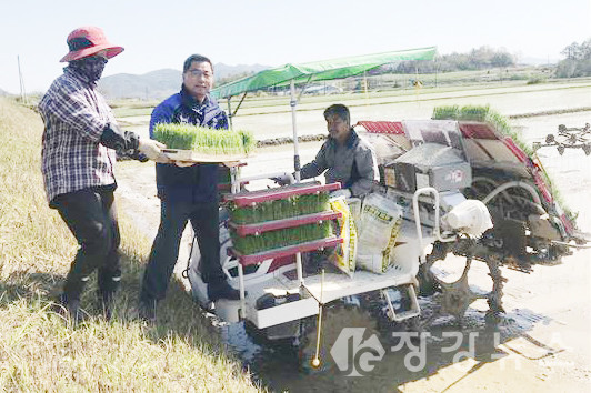 조명언 조합장이 농가 일손을 돕고있다.