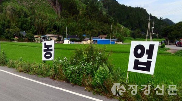 장흥군 유치면 칠인동마을