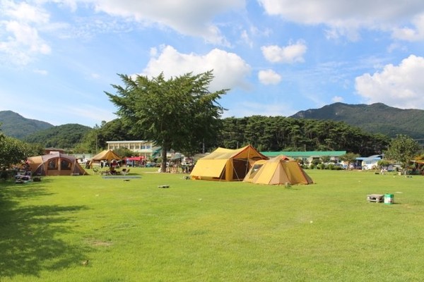 전남교육청이 폐교 활용해 조성한 캠핑장( 장성 안평초).