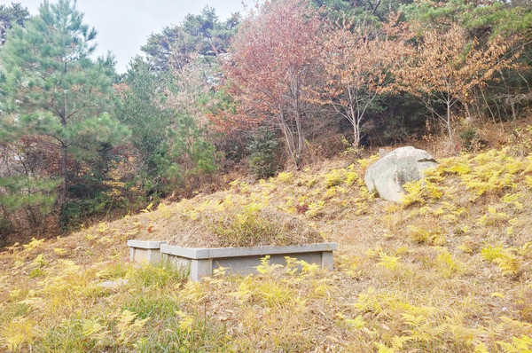강씨 가족 희생자 묘소