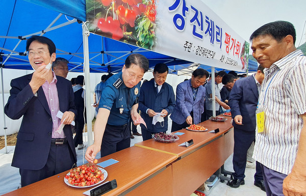 강진원 강진군수 당선인