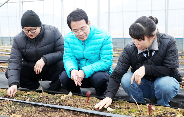 강진원 강진군수 작약재배농가 방문