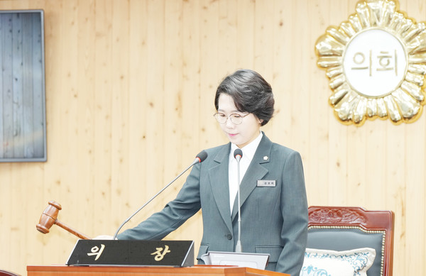 김보미 의장