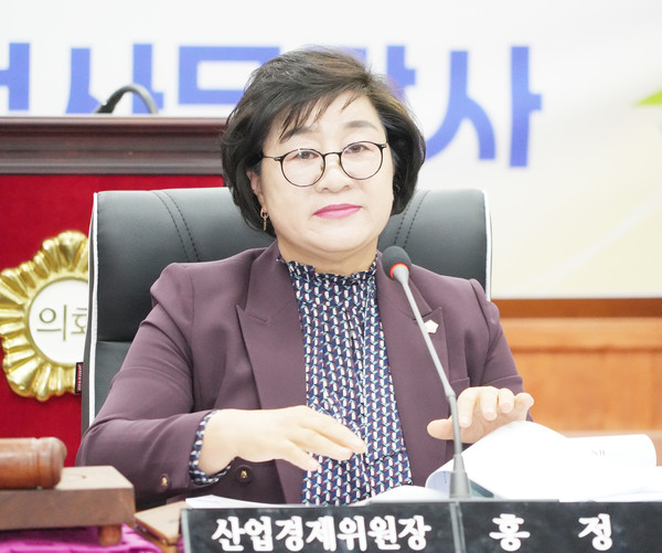 홍정임 장흥군의원