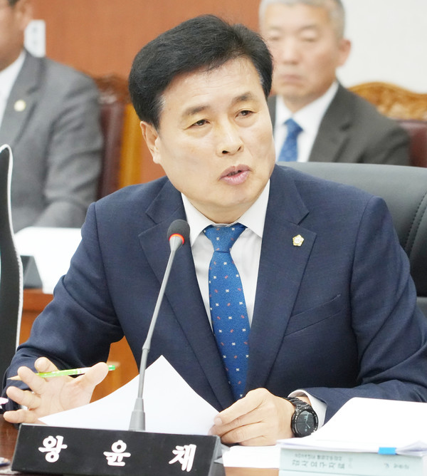 왕윤채 장흥군의원