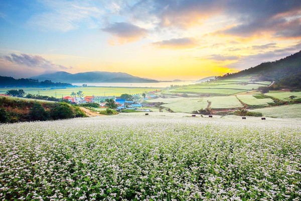 장흥 선학동마을