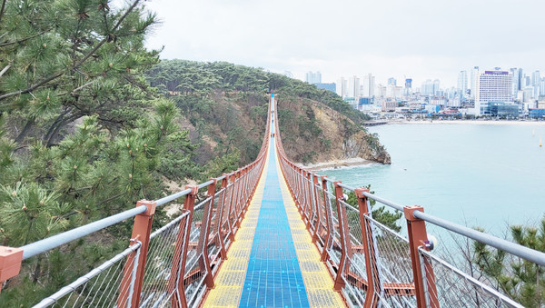 울산 출렁다리