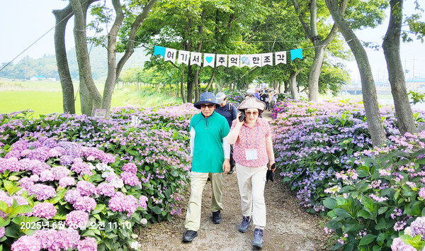 환상의 정원걷기