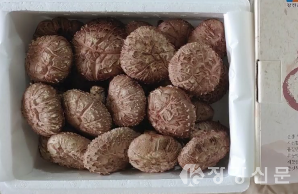 표고버섯
