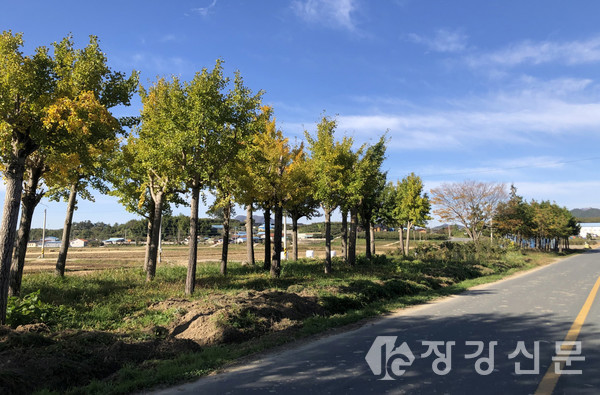 병영나무은행