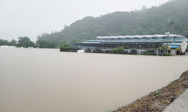 장흥 용산면 월림마을 축사