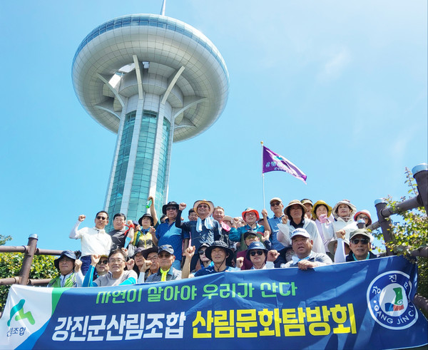 완도타워